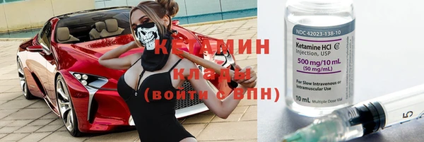 сатива Ельня