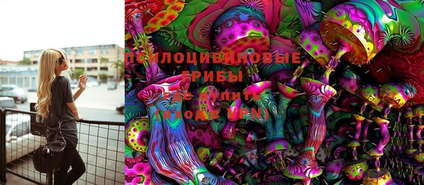 сатива Ельня