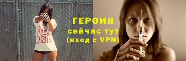 сатива Ельня