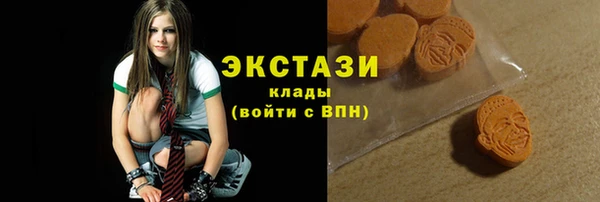 сатива Ельня