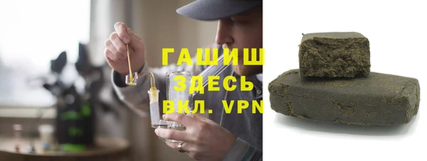сатива Ельня
