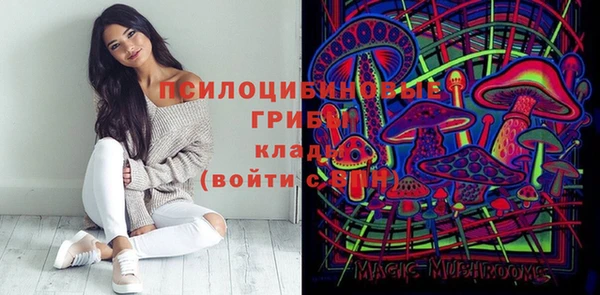 сатива Ельня
