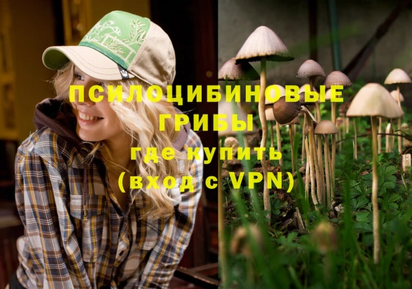 сатива Ельня