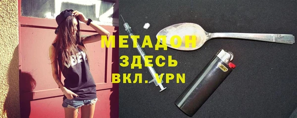 сатива Ельня