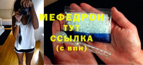 сатива Ельня