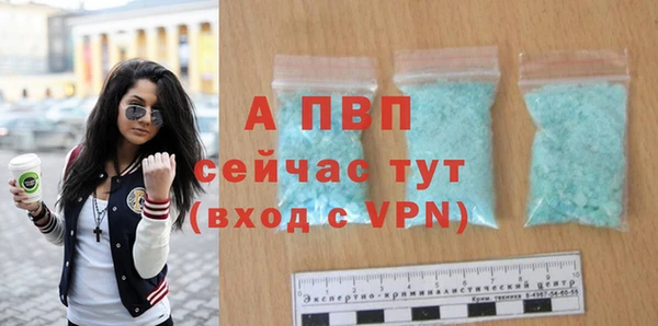 сатива Ельня