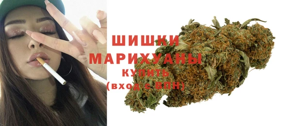 сатива Ельня