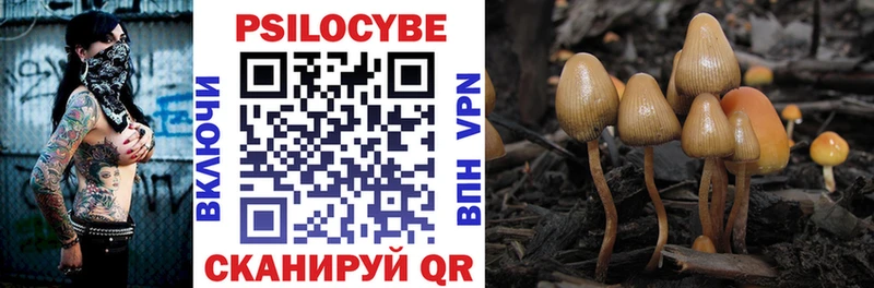 Галлюциногенные грибы Psilocybe  Купить  Вельск 